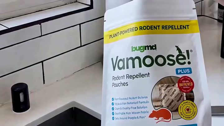 Vamoose demo
