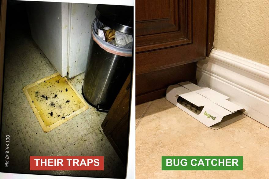 An exposed yellowed glue board with dead roaches versus the folded white BugMD Bug Catcher sitting discreetly by a baseboard