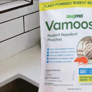 Vamoose demo