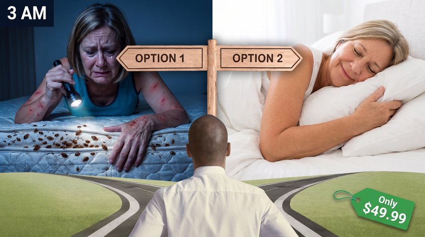 Option 1 or Option 2