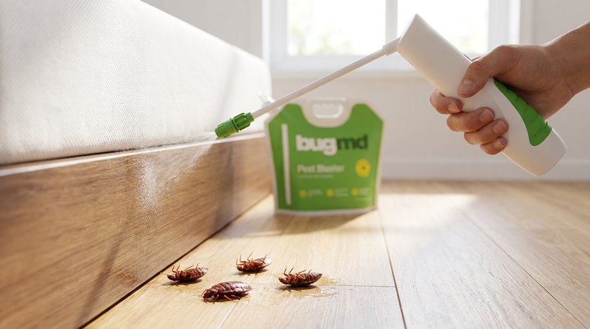 Dead bed bugs after one pass