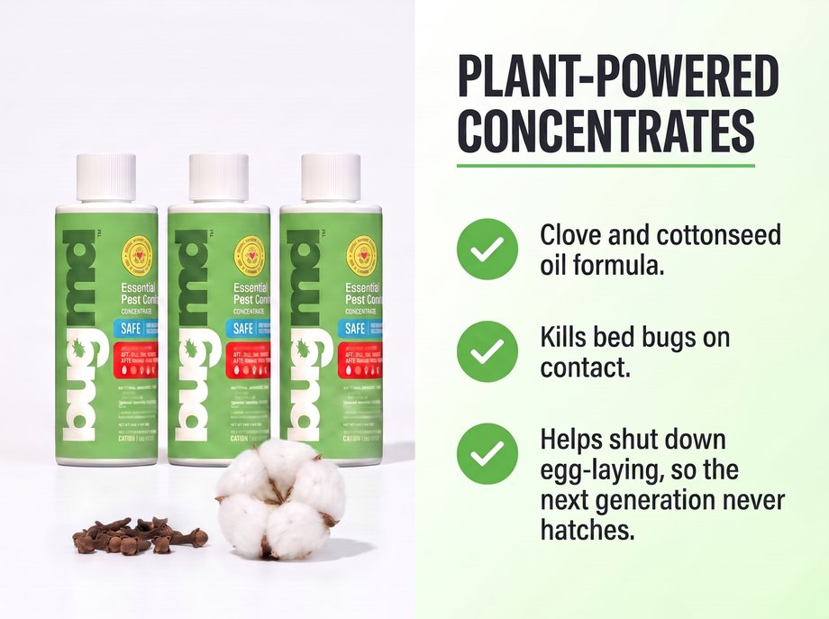 Plant-powered concentrates: clove and cottonseed formula, kills on contact, helps stop egg-laying