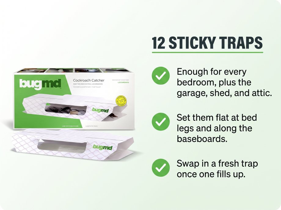 12 sticky traps: coverage for bedrooms, garage, shed and attic