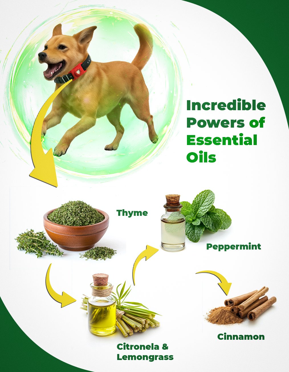 How the Paw Guardian botanical shield works