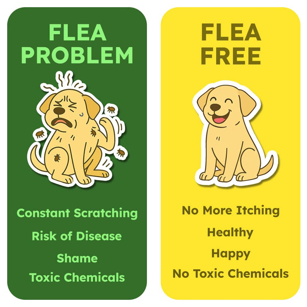 20-flea-body-image-v2