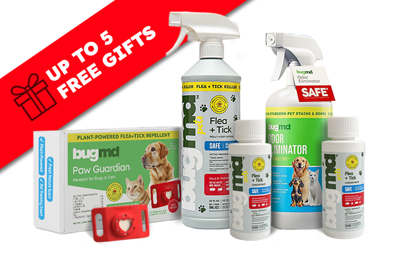 8-flea-tick-body