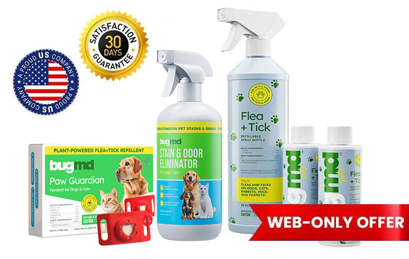 7-flea-tick-body