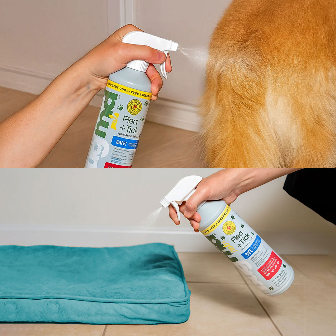 12-1-flea-tick-body