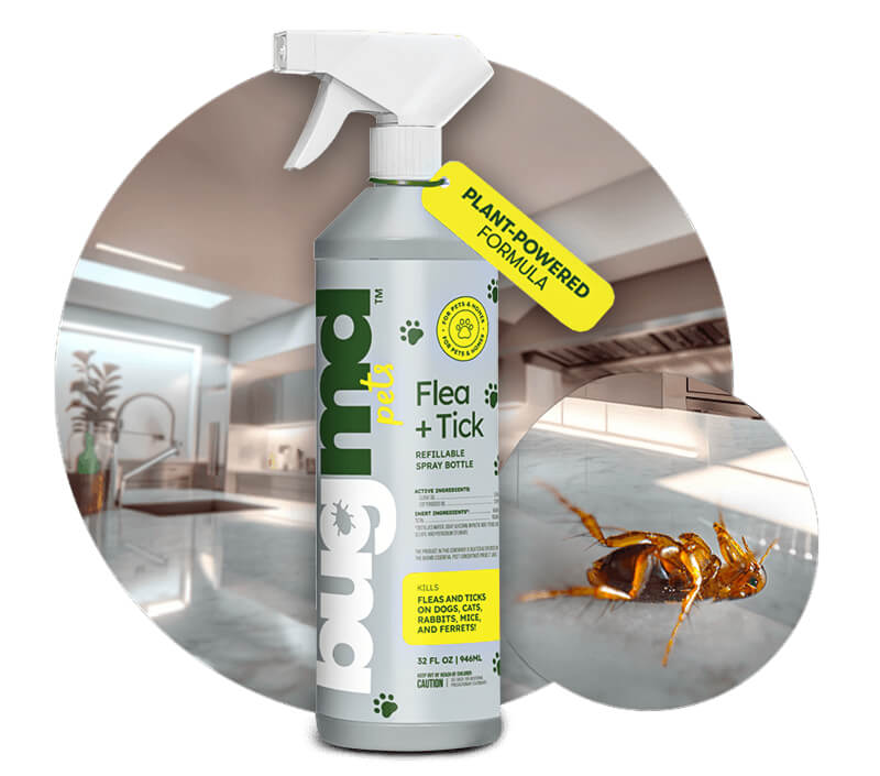 10-flea-body-fm-doc
