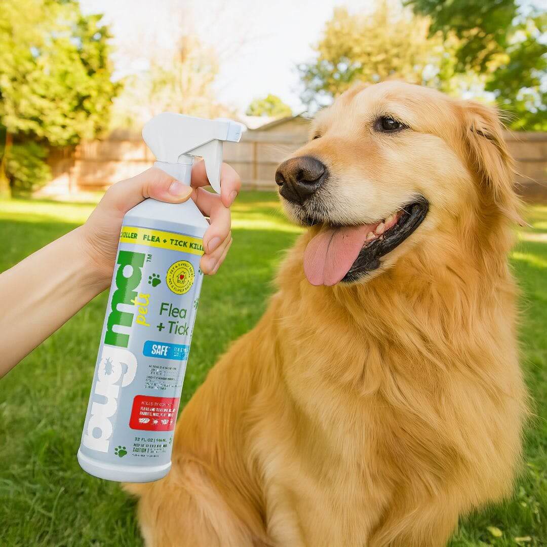 12-2-flea-tick-body