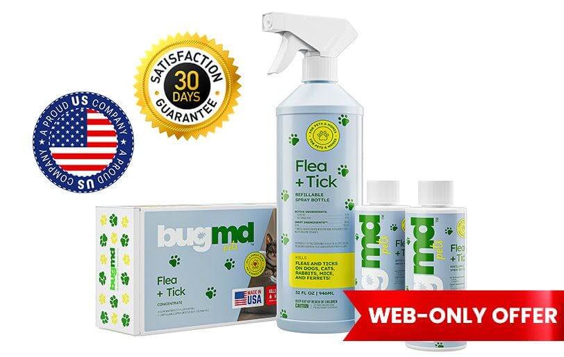 7-flea-tick-body