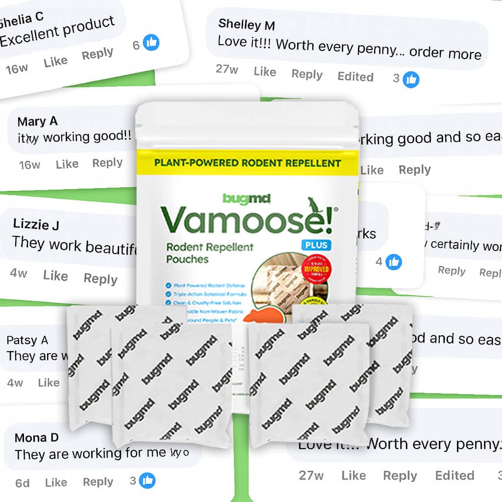 Neighbor testimonial