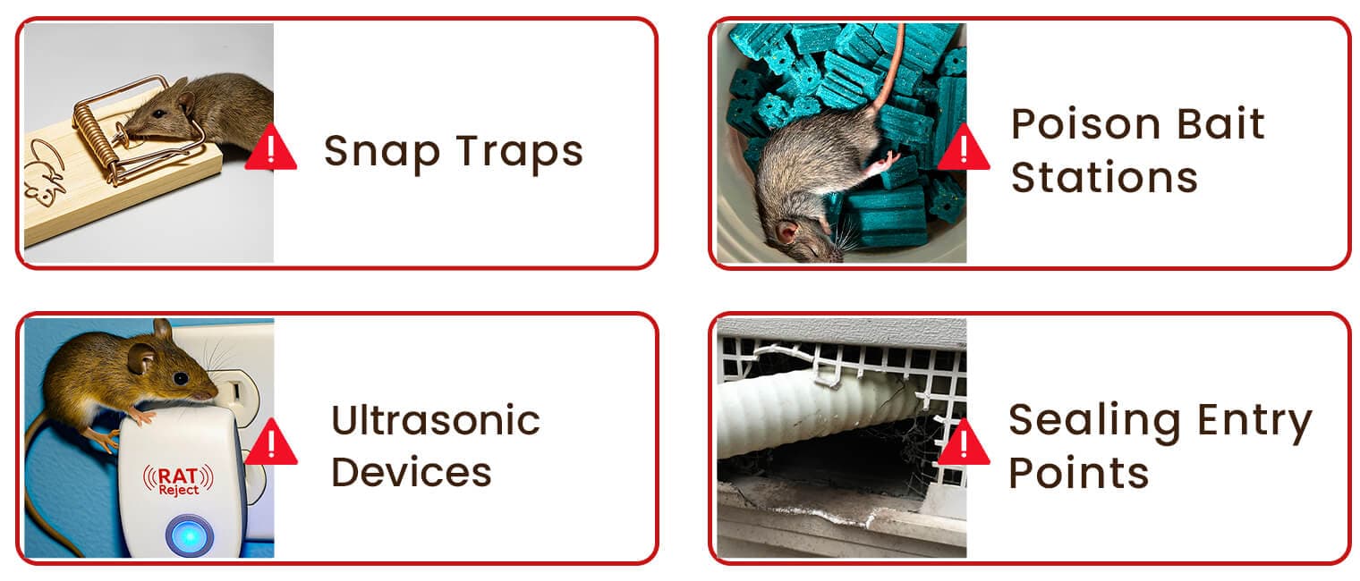 Pest control options
