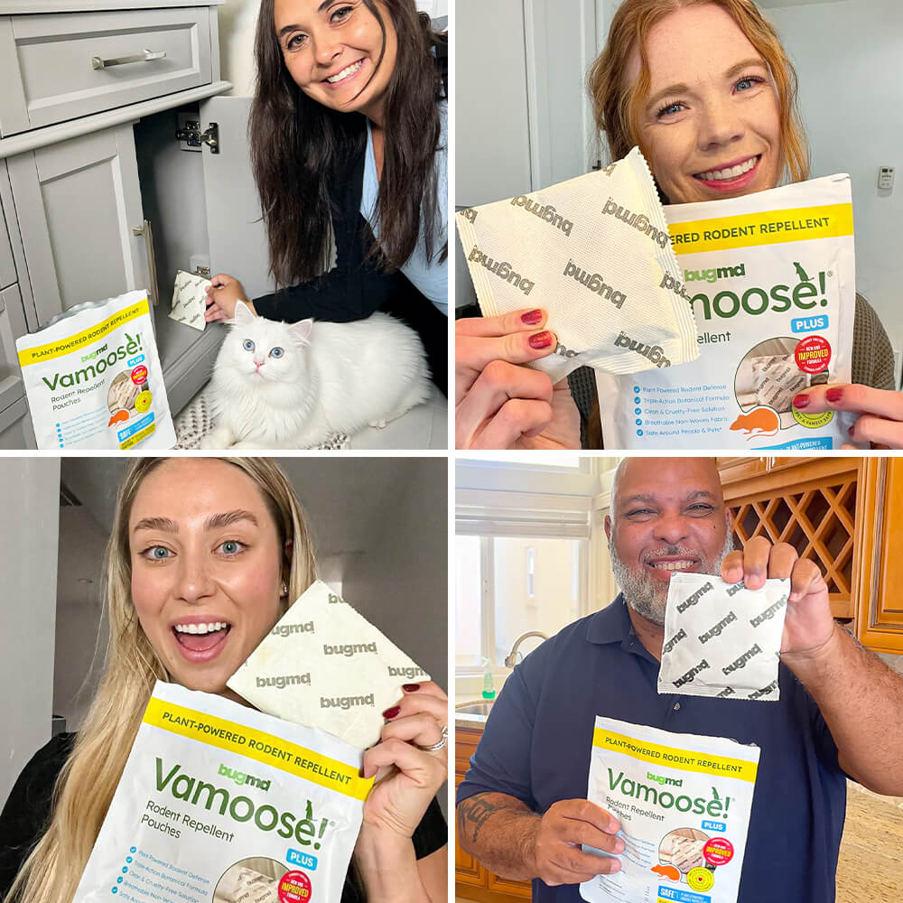 Vamoose Rodent Repellent Pouches