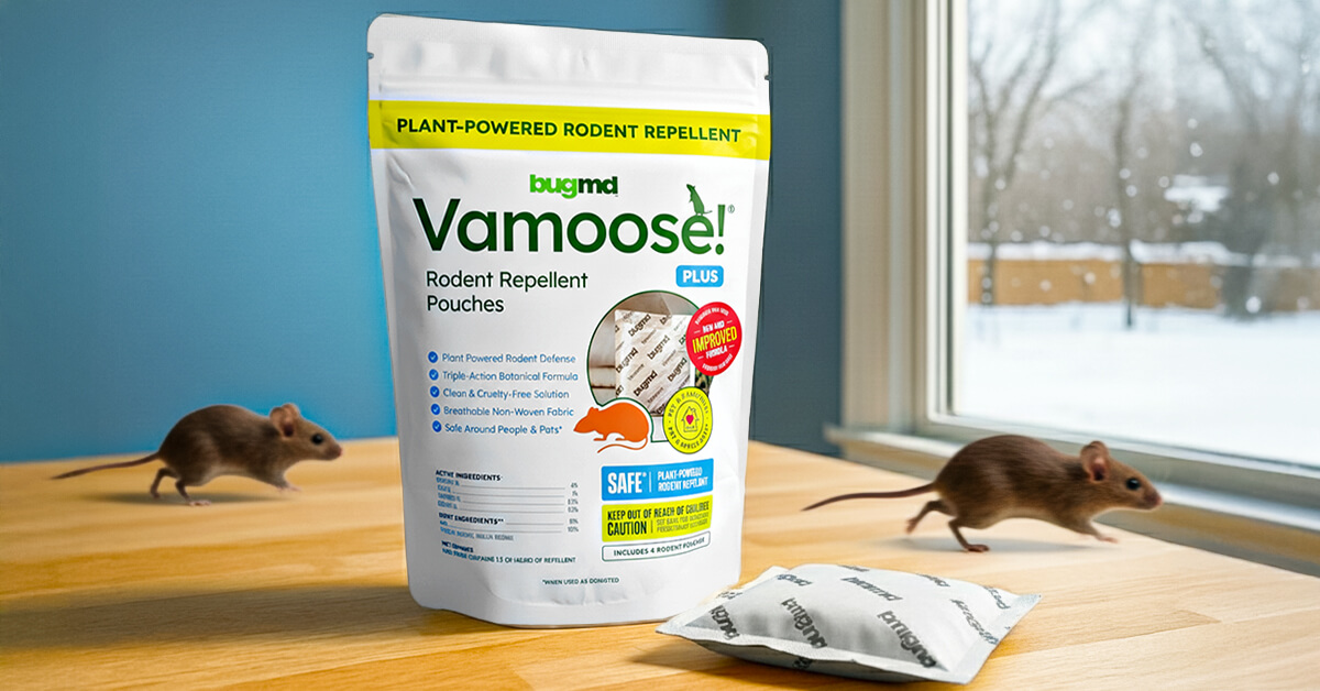Vamoose Rodent Repellent Pouches
