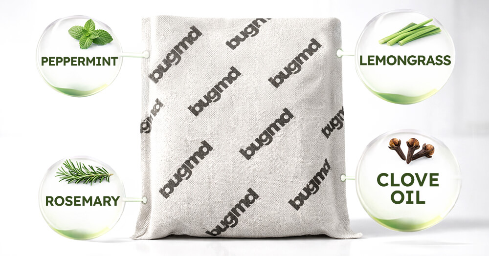 Cleanomic’s Bathroom Essentials Kit