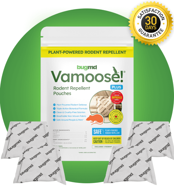 Cleanomic’s Bathroom Essentials Kit