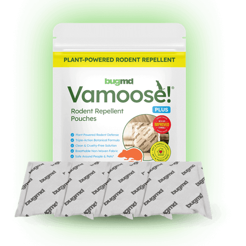 Cleanomic’s Bathroom Essentials Kit